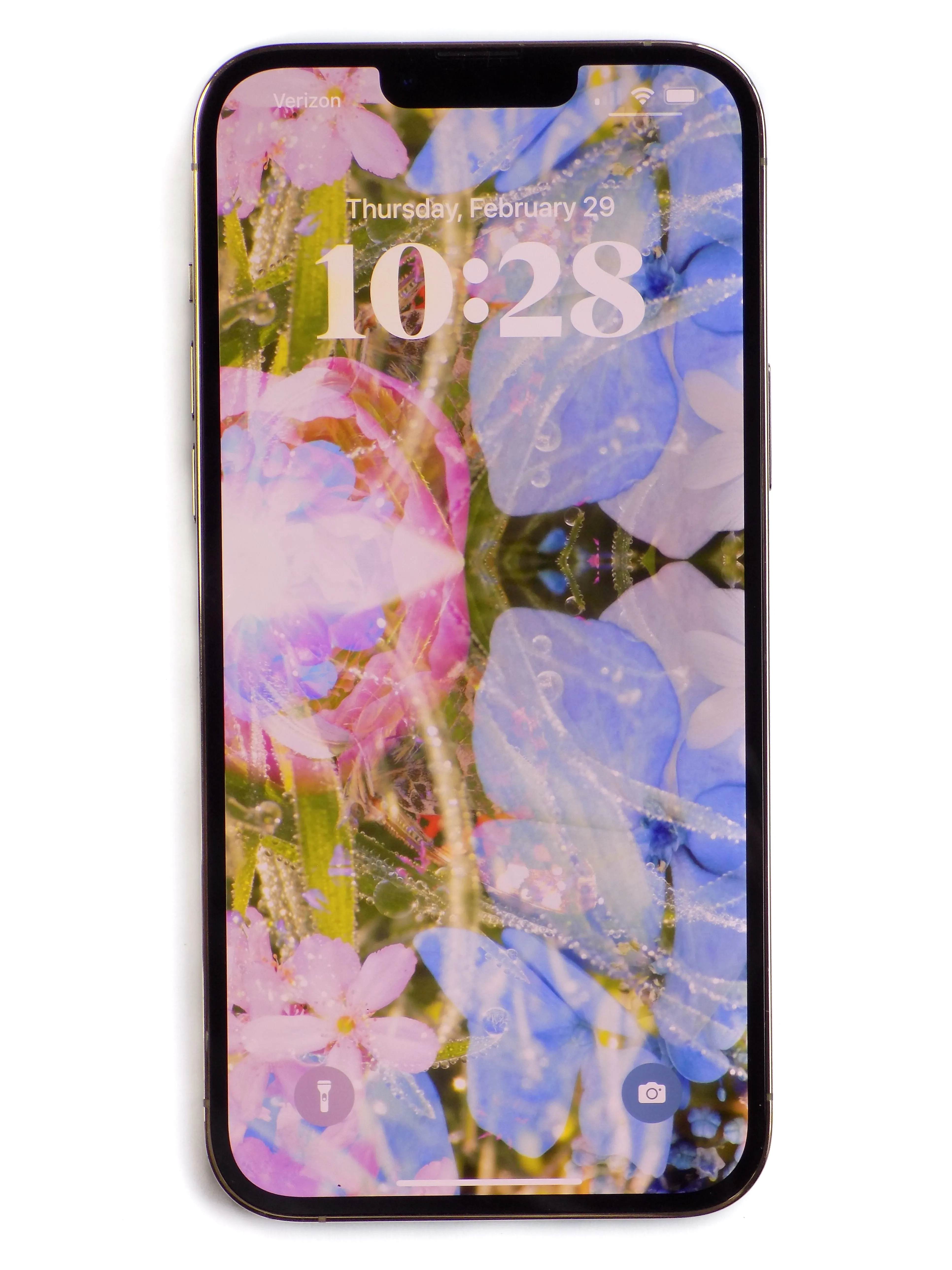 Mirrored Meadow Blossoms