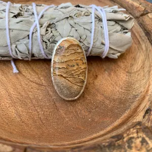 Oval Picture Jasper Ring in Silver