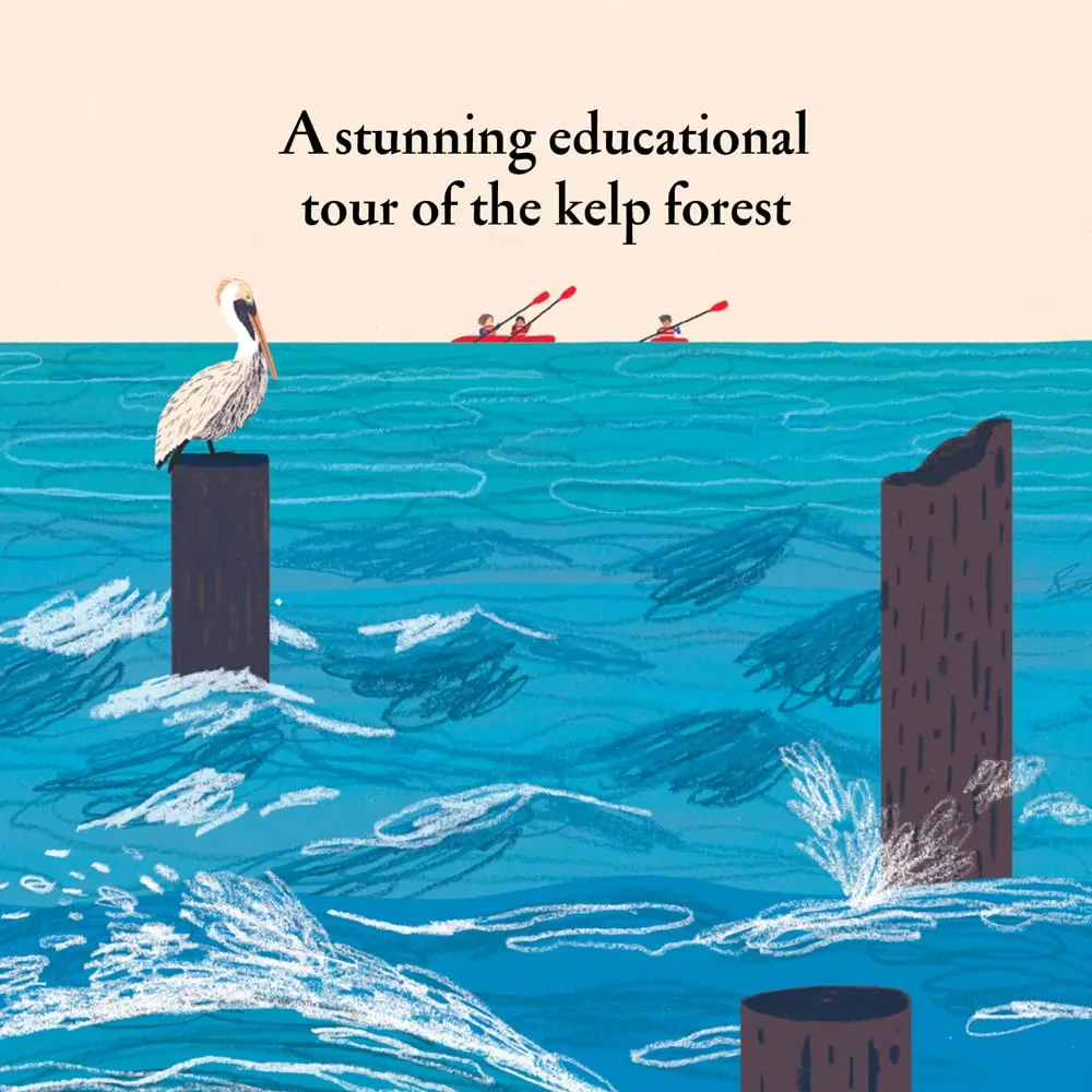 Over and Under the Waves Book