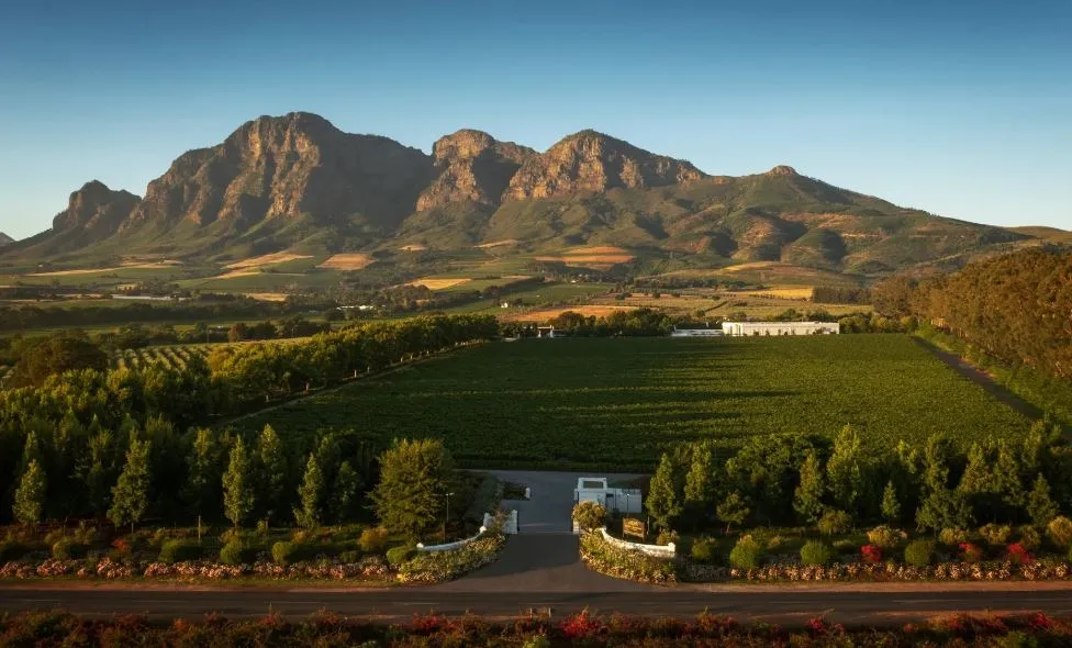 Rupert & Rothschild Classique 2020