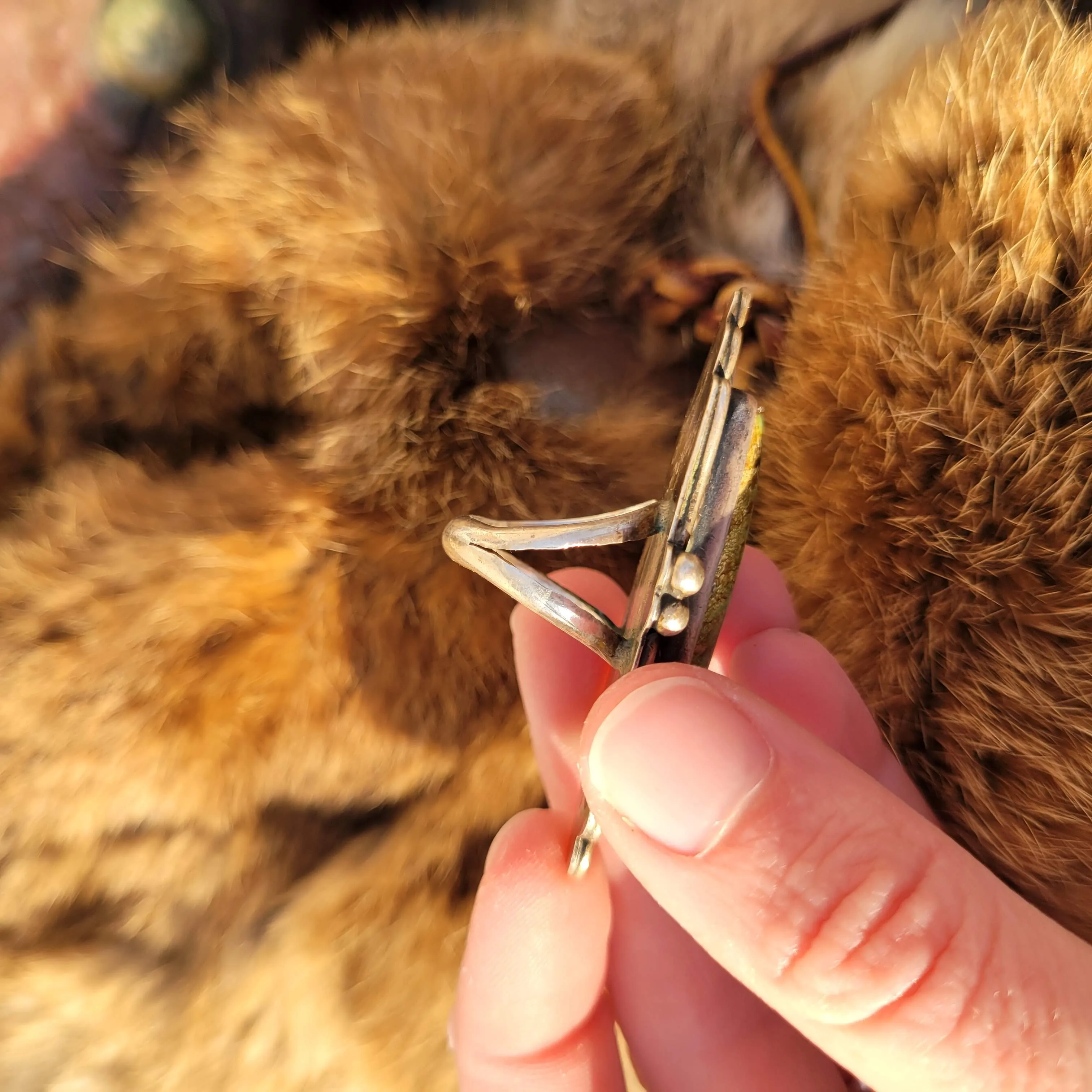 The Cassidy Ring - Sz 5.5