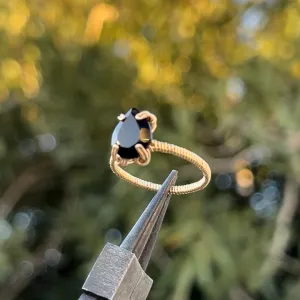 The Eternal Nyx Ring𓆙