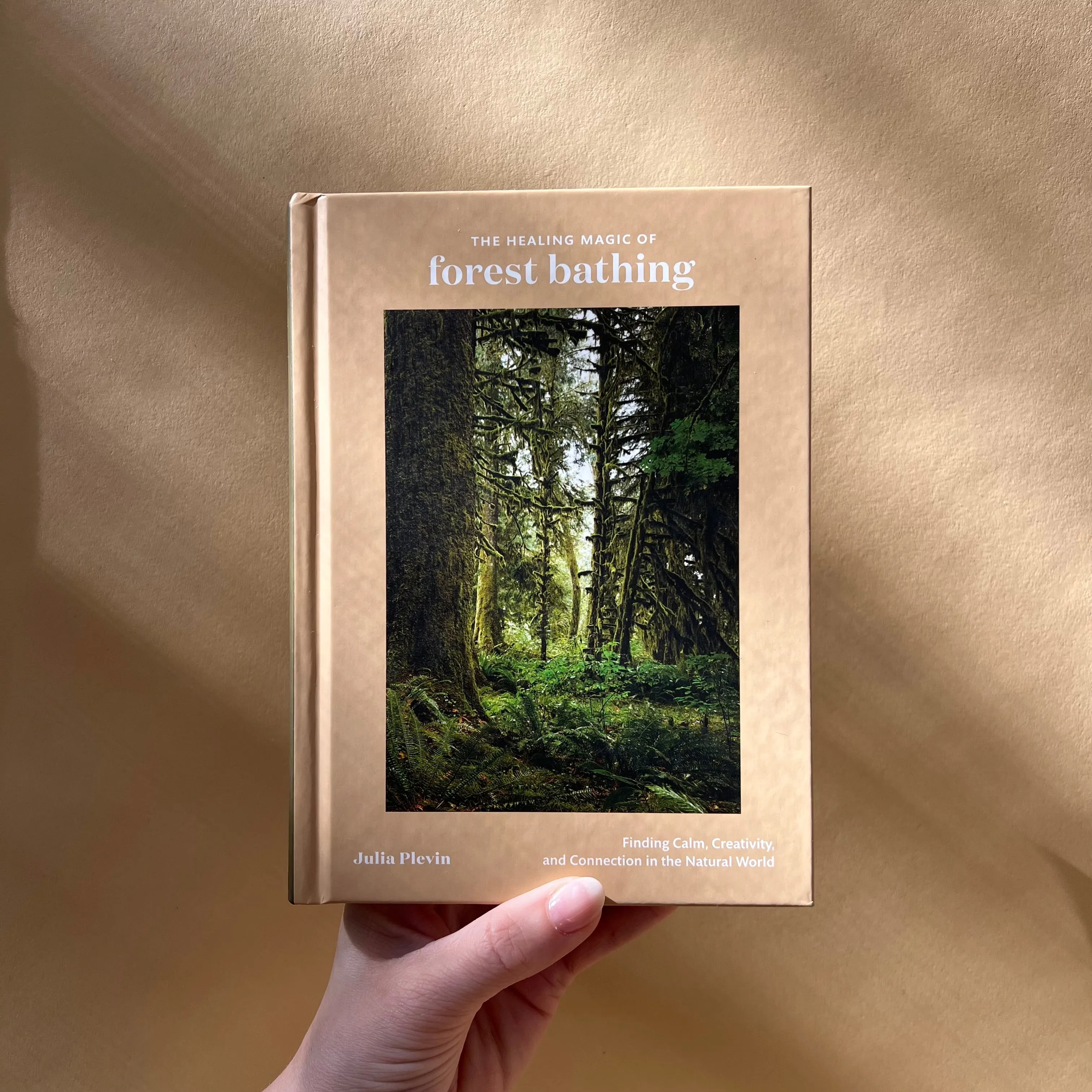 the healing magic of forest bathing: finding calm, creativity, and connection in the natural world