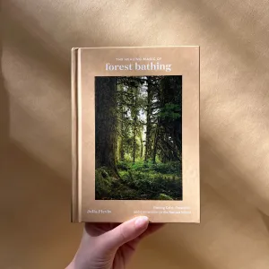 the healing magic of forest bathing: finding calm, creativity, and connection in the natural world