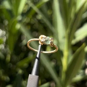 The Medusa Ring 𓆙