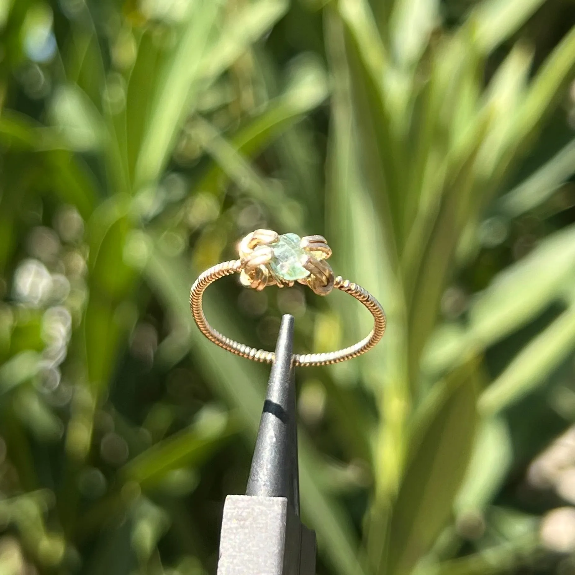 The Medusa Ring 𓆙