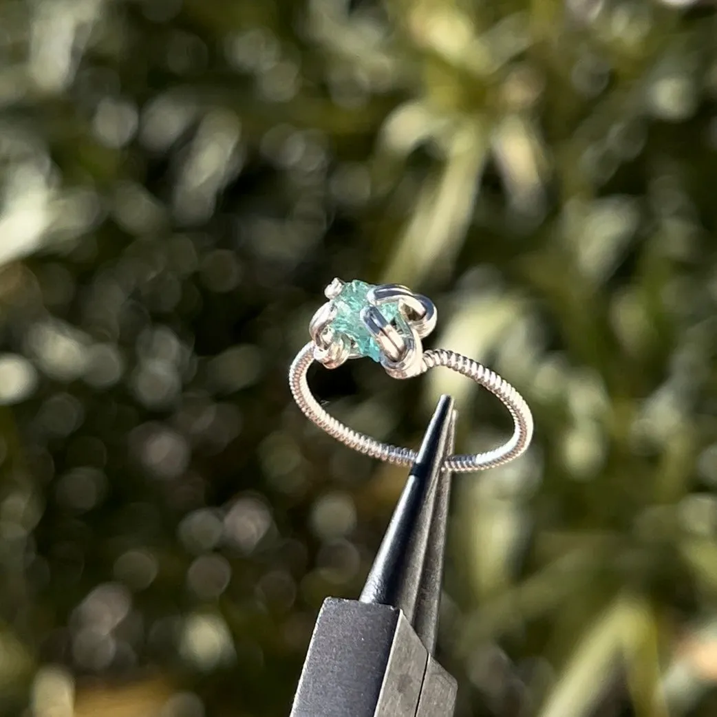 The Medusa Ring 𓆙
