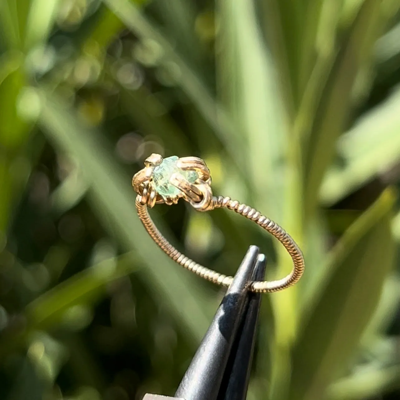 The Medusa Ring 𓆙