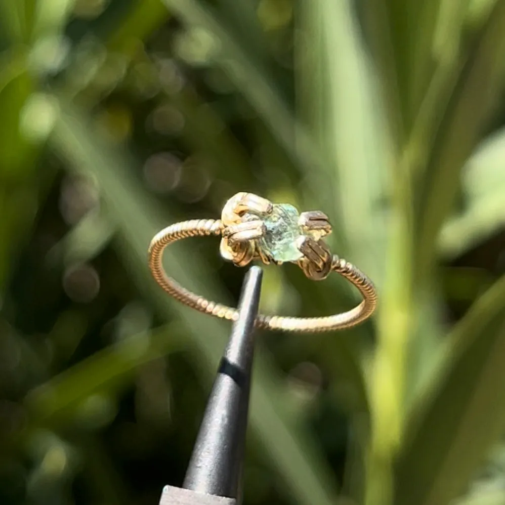 The Medusa Ring 𓆙