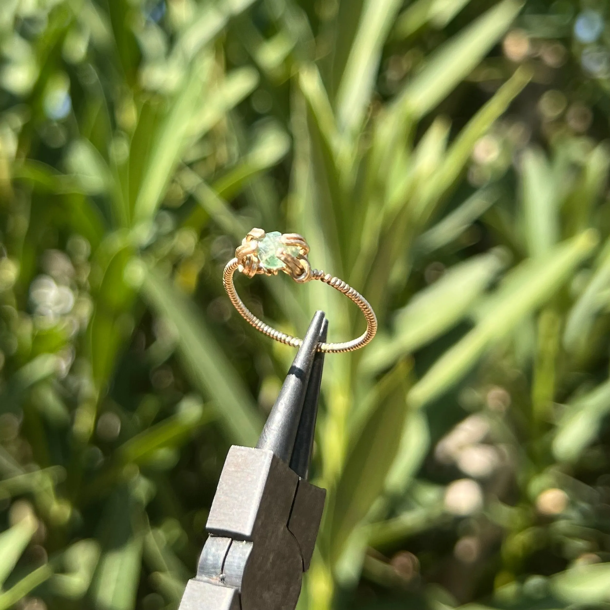 The Medusa Ring 𓆙