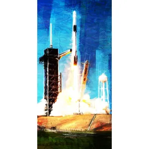 The SpaceX Crew Dragon 2 at liftoff Frank Martin Print