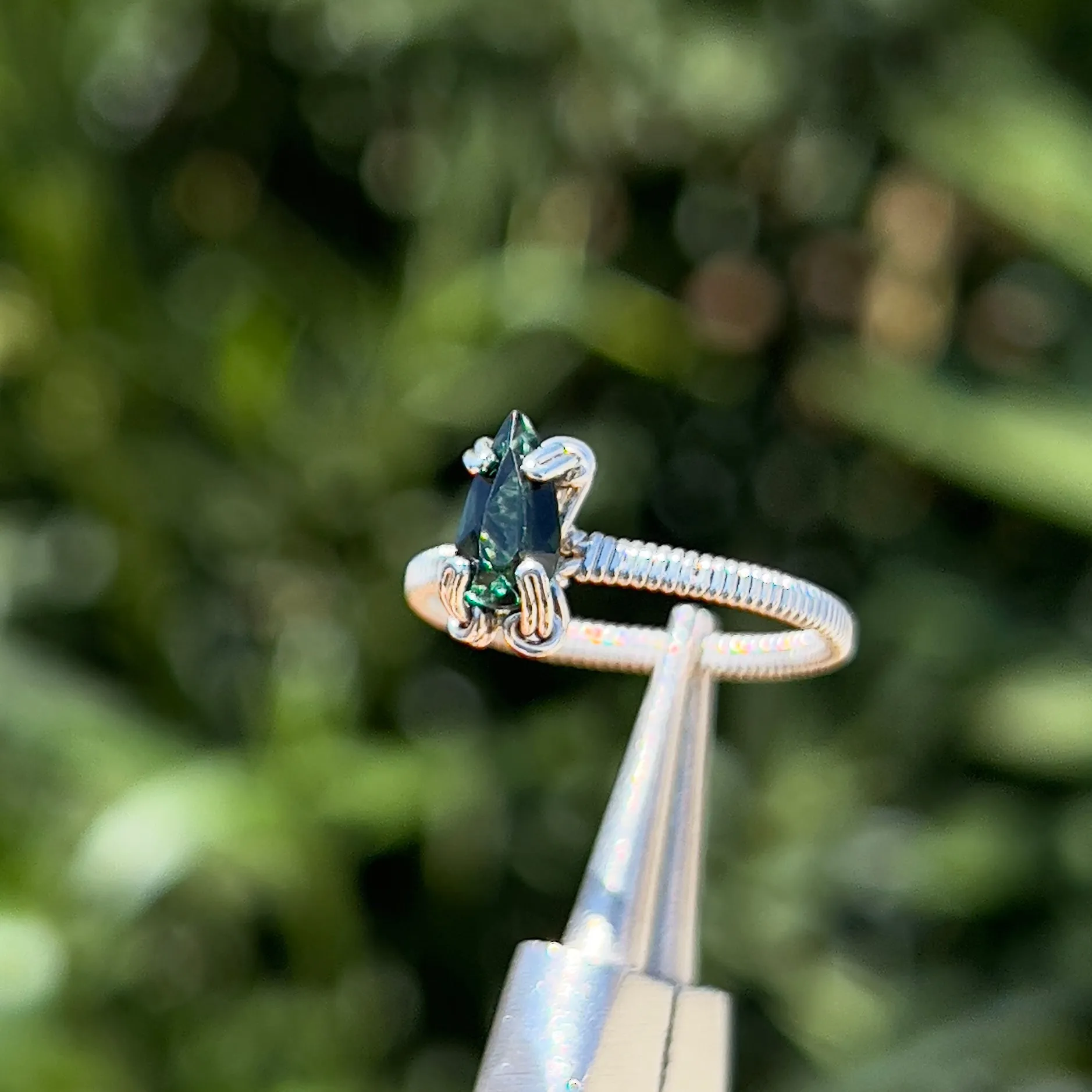 The Stheno Ring 𓆙