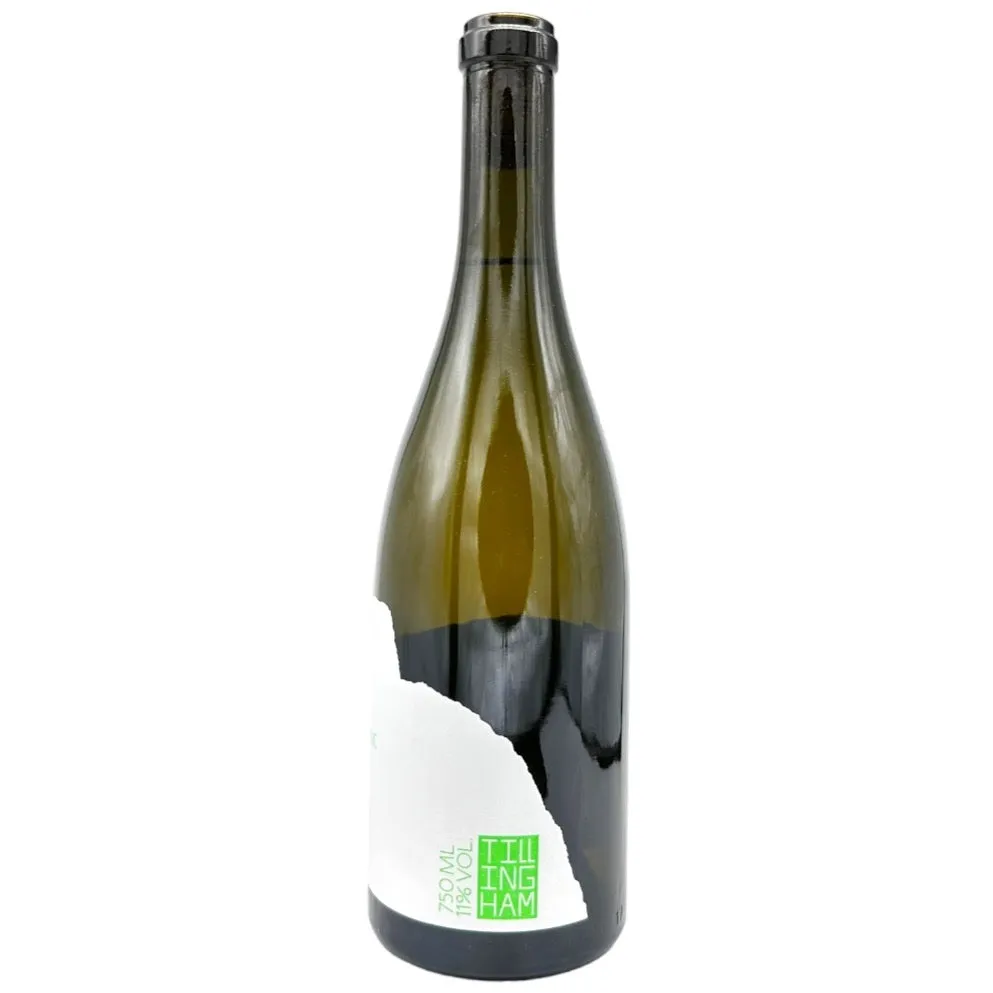 Tillingham Pinot Blanc