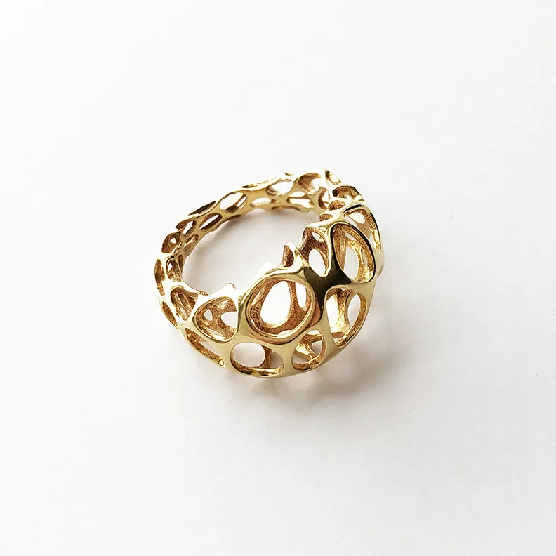 Voronoi Ring