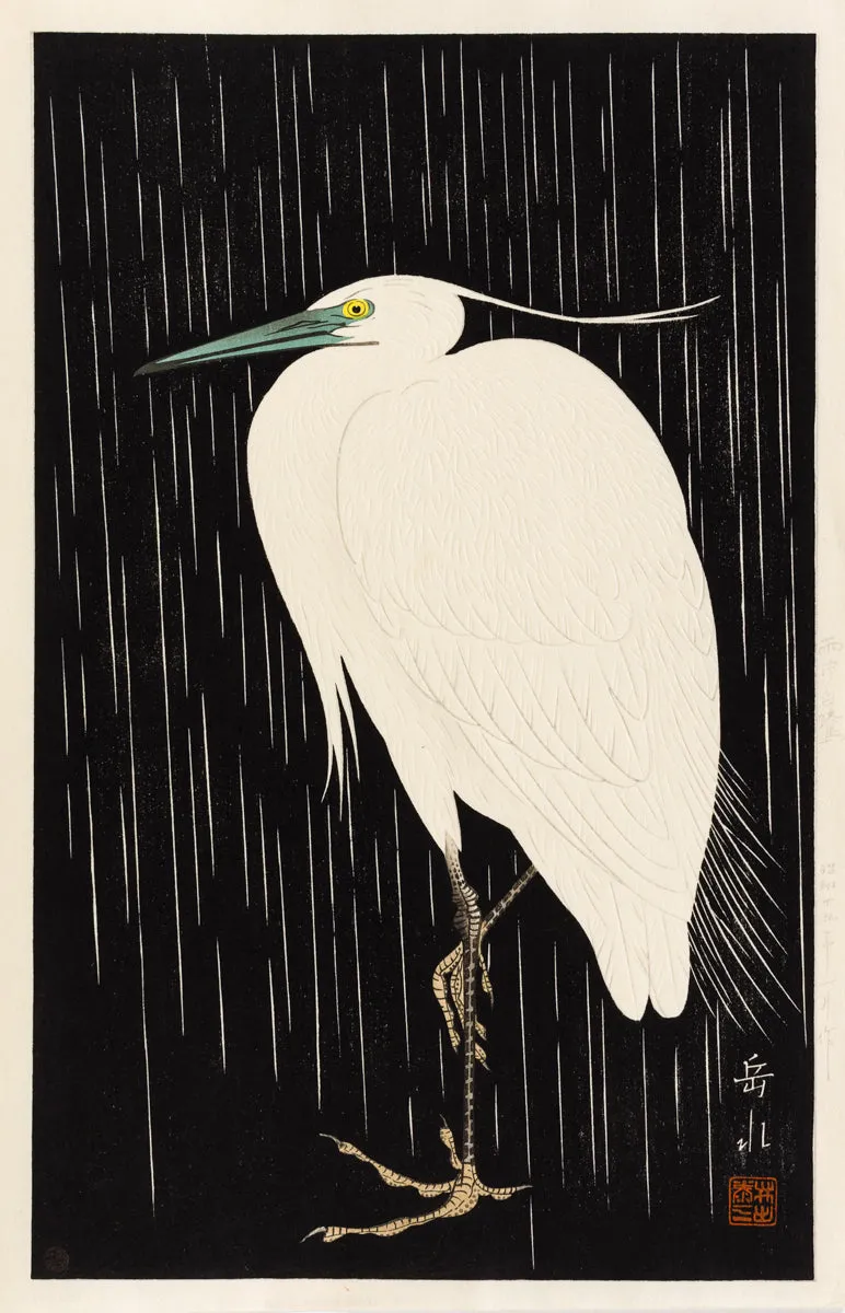 White Heron in the Rain