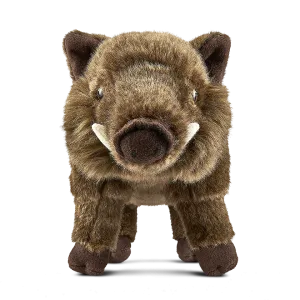Wild Boar