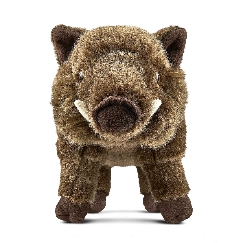 Wild Boar