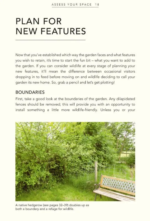 Wild Your Garden: Create a sanctuary for nature