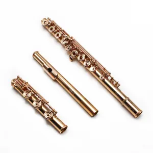 William S. Haynes Handmade Custom Flute in 19.5K Gold with Gold Mechanism - New