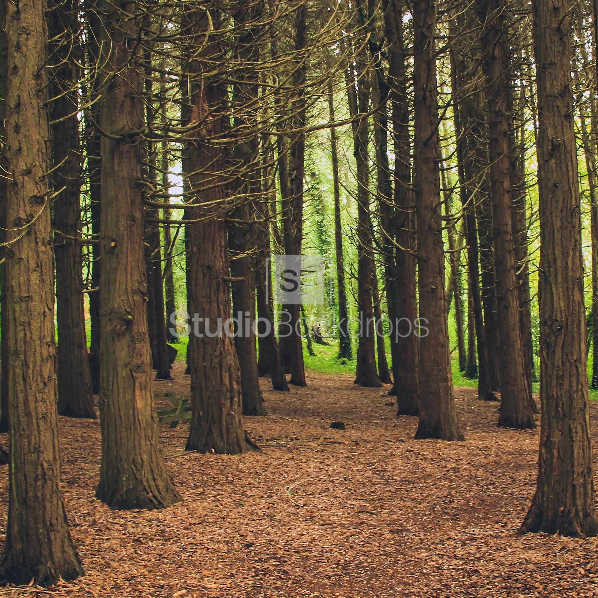Woodland Forest Photo Booth Backdrop BD-212-SCE